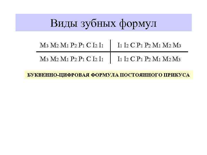 Виды зубных формул M 3 M 2 M 1 P 2 P 1 C