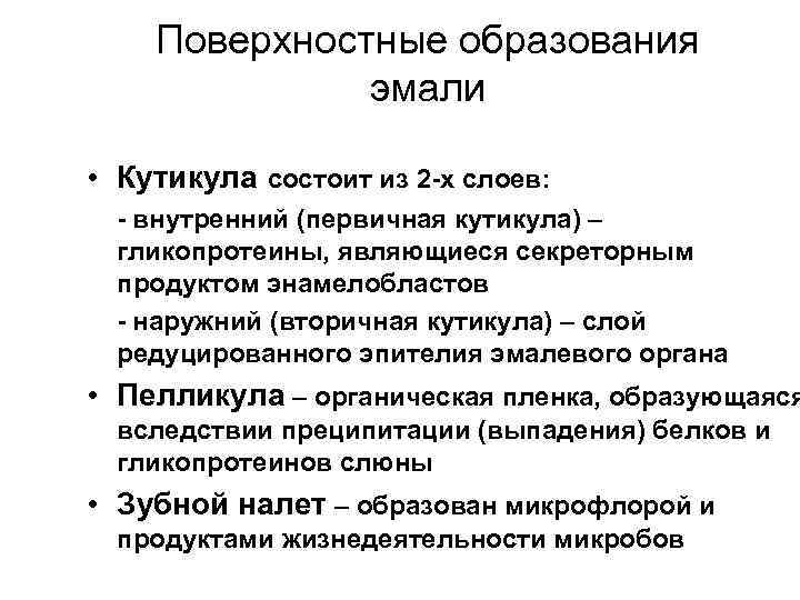 Поверхностные образования эмали • Кутикула состоит из 2 -х слоев: - внутренний (первичная кутикула)