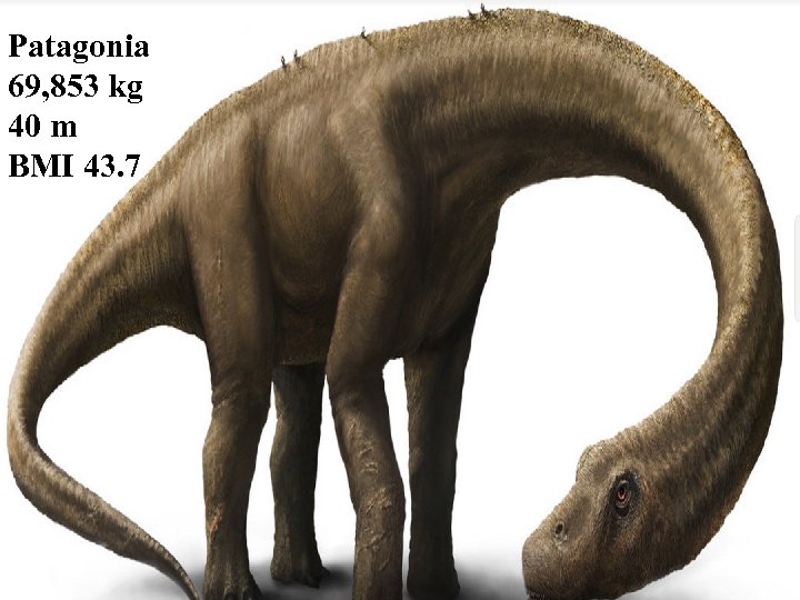 Patagonia 69, 853 kg 40 m BMI 43. 7 