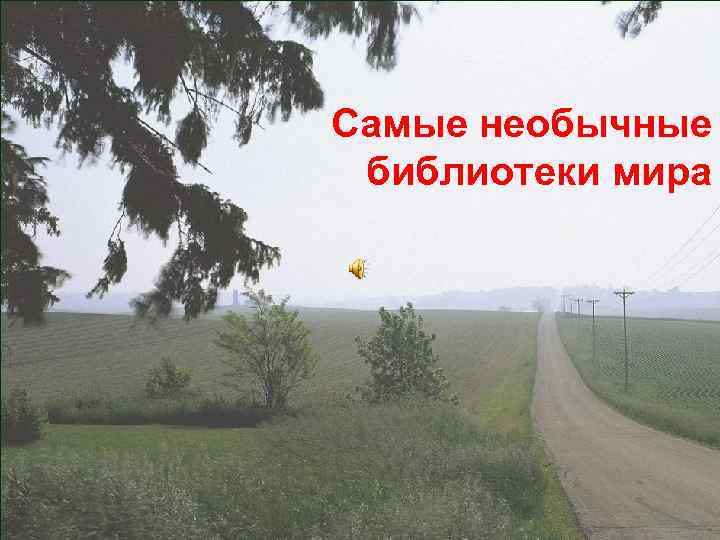 Самые необычные библиотеки мира 