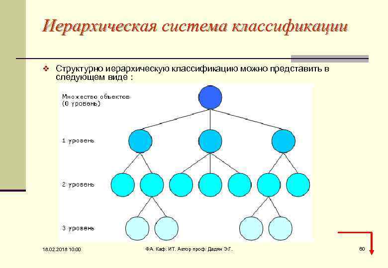 Иерархическая система классификации v Структурно иерархическую классификацию можно представить в следующем виде : 18.
