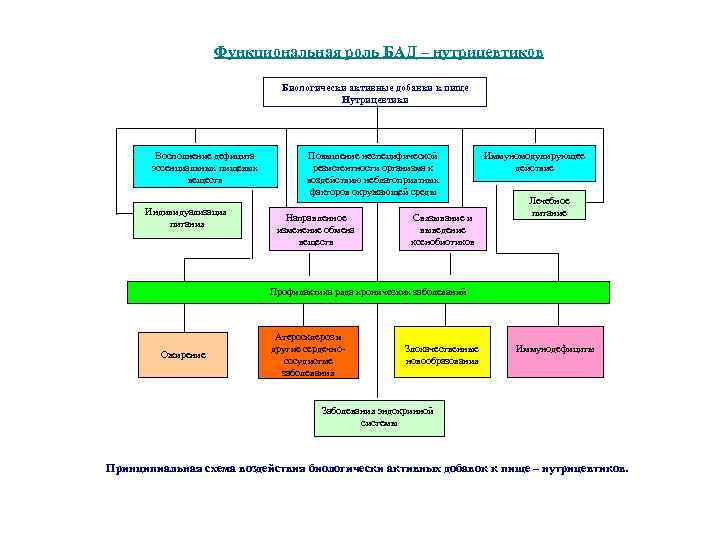 Функциональная роль БАД – нутрицевтиков Биологически активные добавки к пище Нутрицевтики Восполнение дефицита эссенциальных