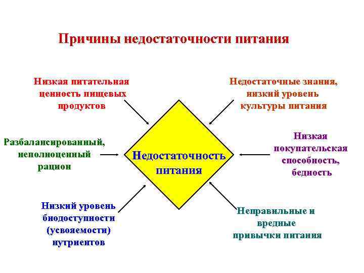 Причины недостаточности питания Низкая питательная ценность пищевых продуктов Разбалансированный, неполноценный рацион Низкий уровень биодоступности