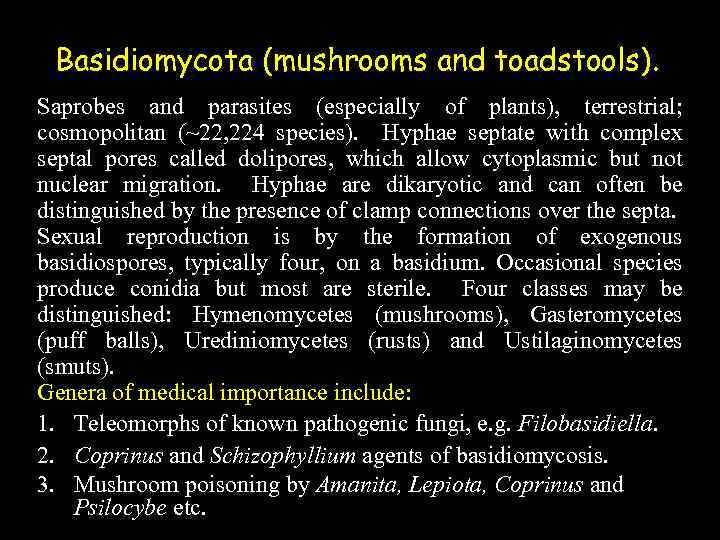 Basidiomycota (mushrooms and toadstools). Saprobes and parasites (especially of plants), terrestrial; cosmopolitan (~22, 224