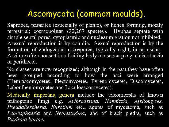 Ascomycota (common moulds). Saprobes, parasites (especially of plants), or lichen forming, mostly terrestrial; cosmopolitan