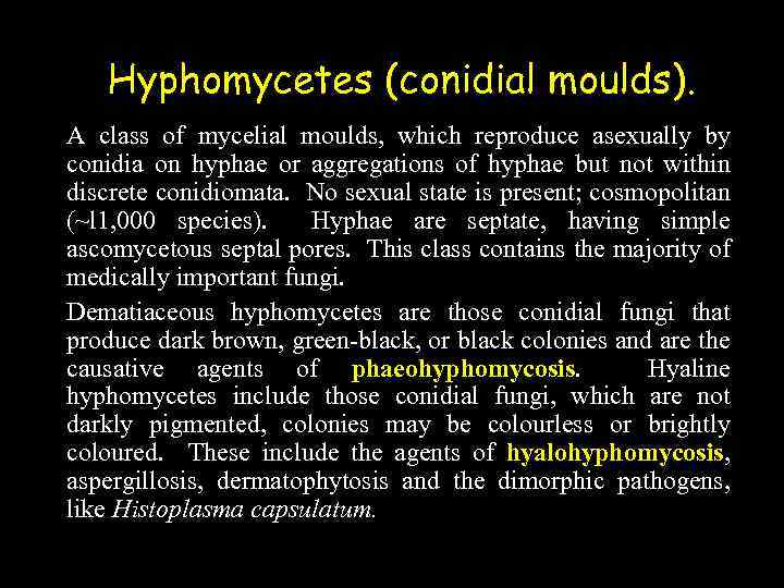 Hyphomycetes (conidial moulds). A class of mycelial moulds, which reproduce asexually by conidia on