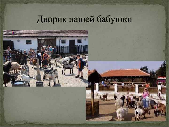 Дворик нашей бабушки 