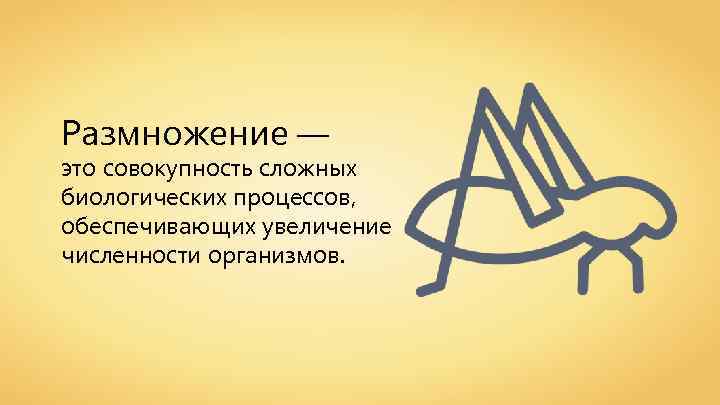 Размножение — это совокупность сложных биологических процессов, обеспечивающих увеличение численности организмов. 