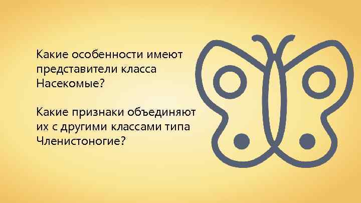 Какие особенности имеют представители класса Насекомые? Какие признаки объединяют их с другими классами типа