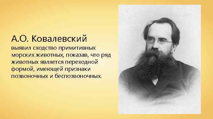 А. О. Ковалевский выявил сходство примитивных морских животных, показав, что ряд животных является переходной