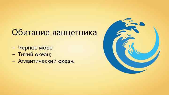 Обитание ланцетника − Черное море; − Тихий океан; − Атлантический океан. 