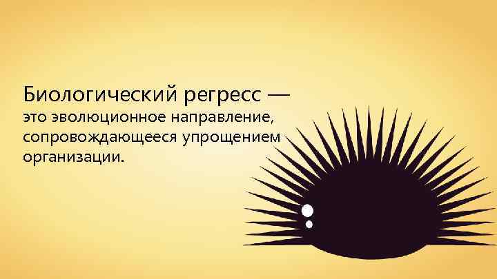 Биологический регресс — это эволюционное направление, сопровождающееся упрощением организации. 