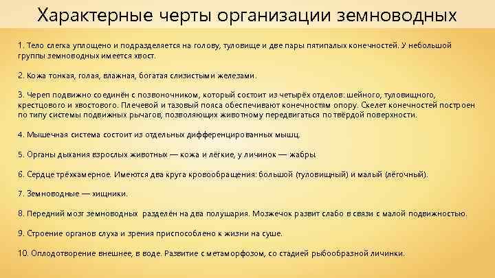 Характерные черты организации земноводных 1. Тело слегка уплощено и подразделяется на голову, туловище и