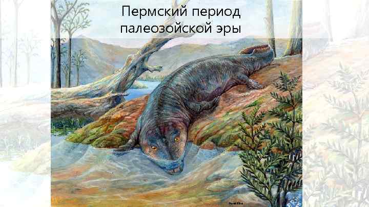 Пермский период палеозойской эры Pavel Riha 