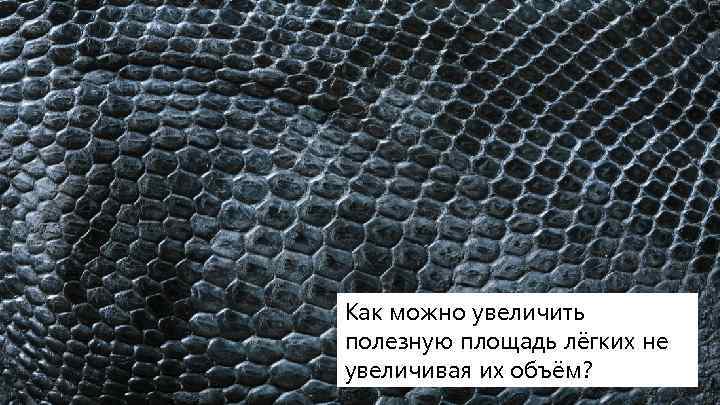 Как можно увеличить полезную площадь лёгких не увеличивая их объём? 