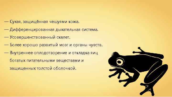 — Сухая, защищённая чешуями кожа. — Дифференцированная дыхательная система. — Усовершенствованный скелет. — Более