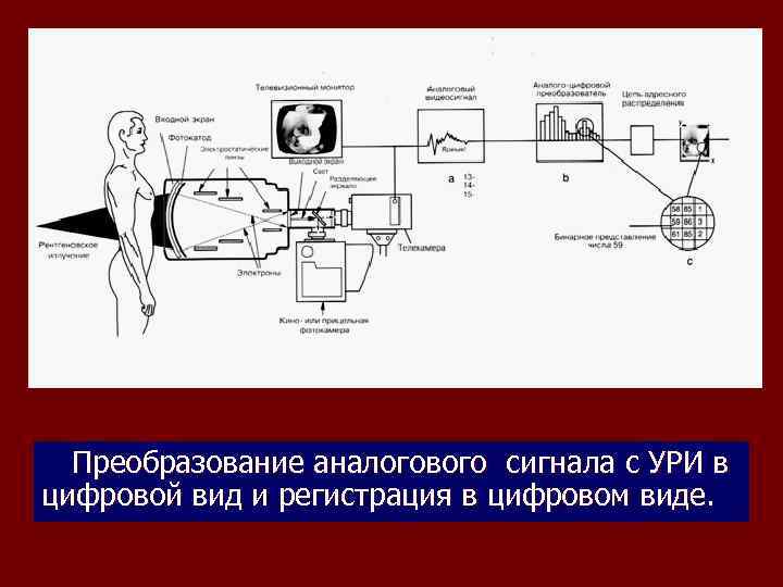 Преобразование аналогового сигнала с УРИ в цифровой вид и регистрация в цифровом виде. 