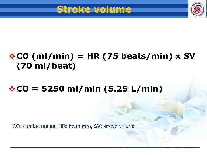 Stroke volume v CO (ml/min) = HR (75 beats/min) x SV (70 ml/beat) v
