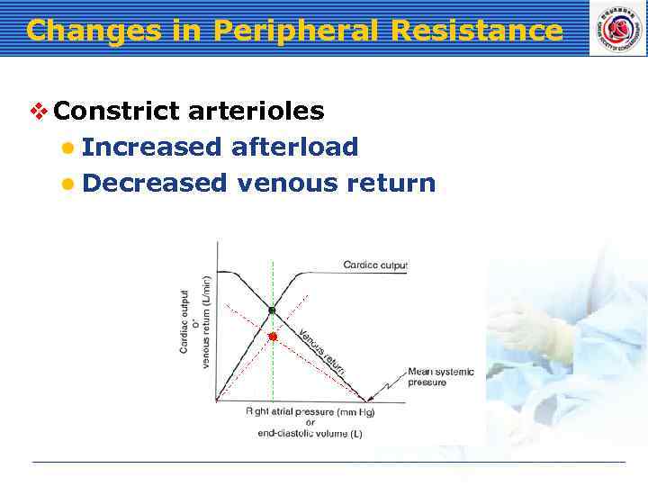 Changes in Peripheral Resistance v Constrict arterioles l Increased afterload l Decreased venous return