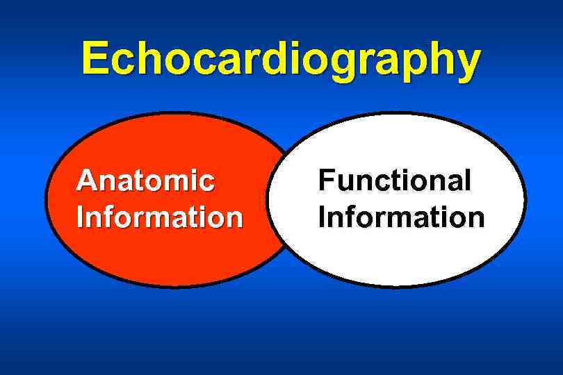 Echocardiography Anatomic Information Functional Information 