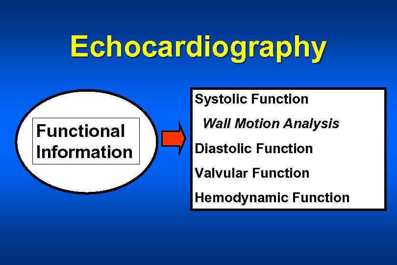 Echocardiography Systolic Functional Information Wall Motion Analysis Diastolic Function Valvular Function Hemodynamic Function 