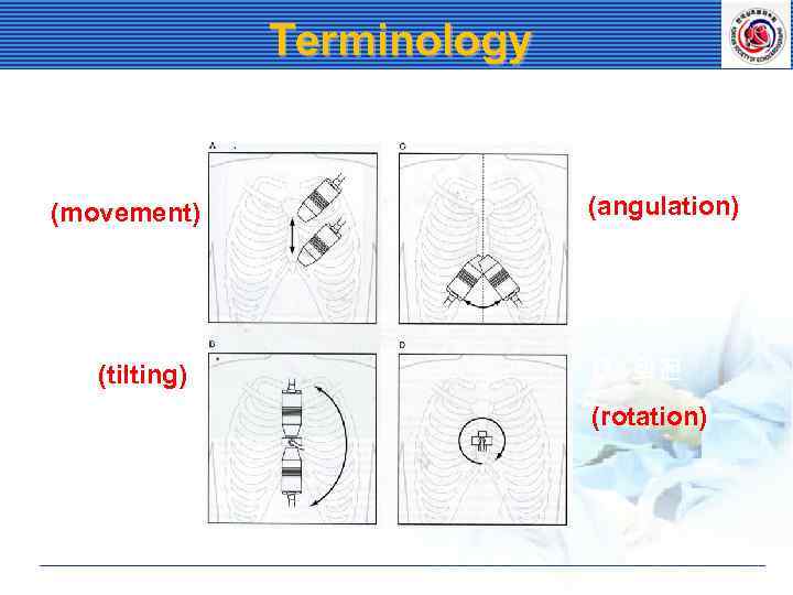 Terminology A. 이동 (movement) C. 경사 (angulation) B. 기울임 (tilting) D. 회전 (rotation) 