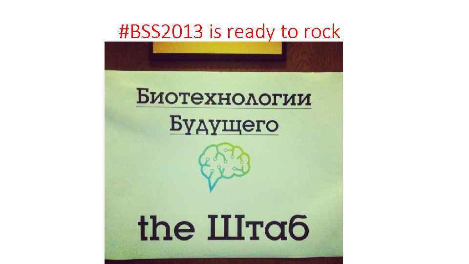 #BSS 2013 is ready to rock 