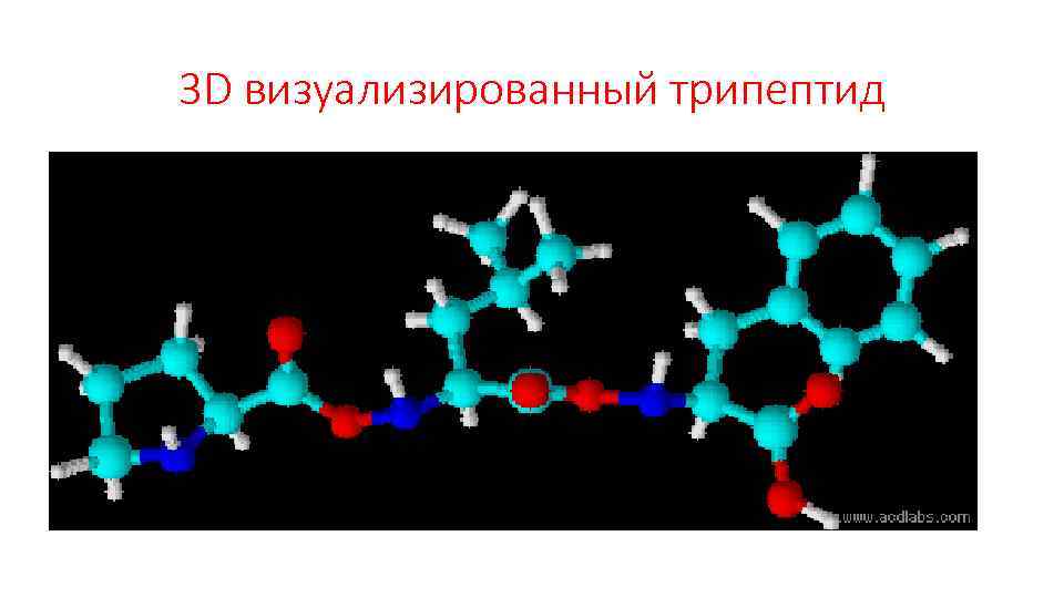 3 D визуализированный трипептид 
