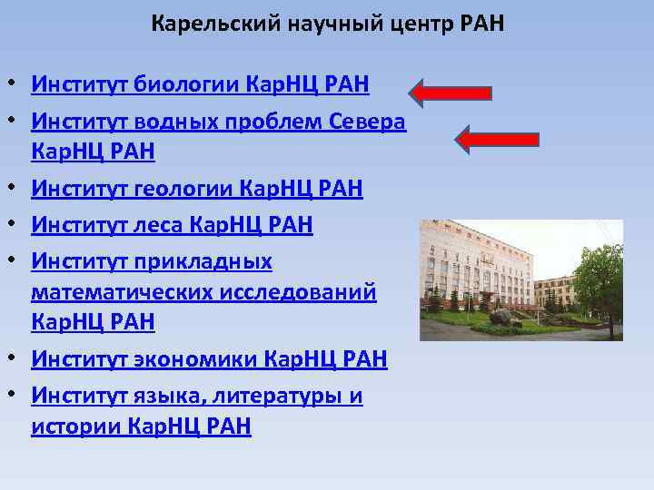 Виды научных центров. Институт водных проблем севера КАРНЦ РАН. Научные центры России. Институт леса КАРНЦ РАН. Институт биологии карельского научного центра РАН.