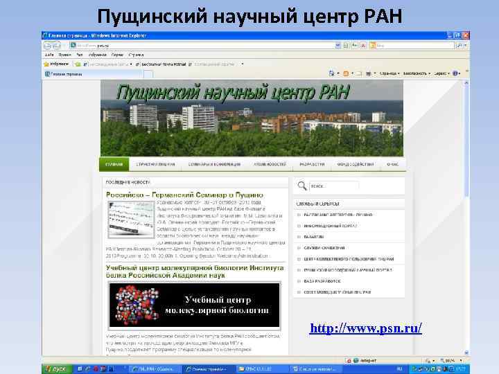 Пущинский научный центр РАН http: //www. psn. ru/ 