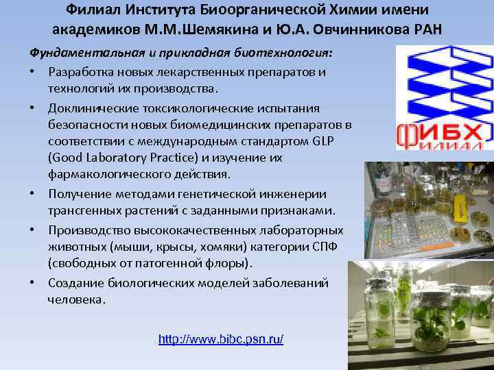 Филиал Института Биоорганической Химии имени академиков М. М. Шемякина и Ю. А. Овчинникова РАН
