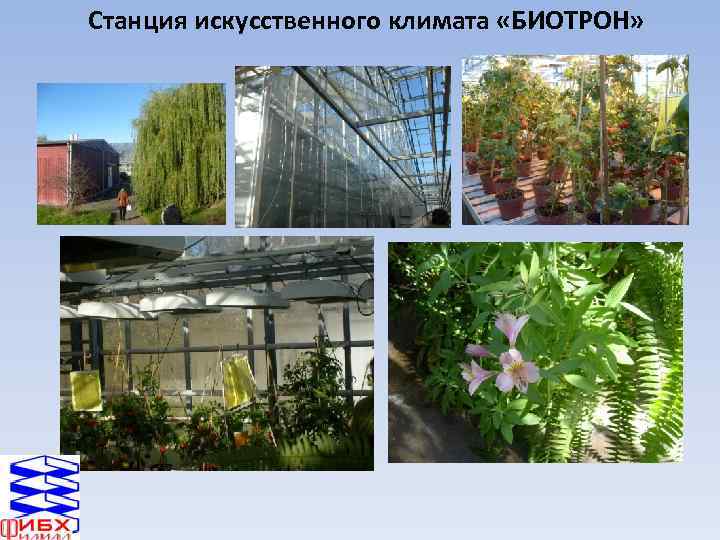 Станция искусственного климата «БИОТРОН» 