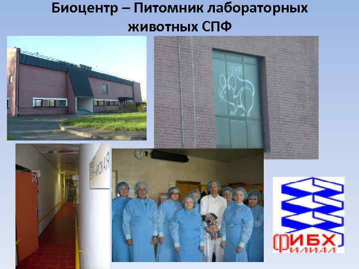 Биоцентр – Питомник лабораторных животных СПФ 