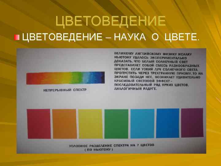 ЦВЕТОВЕДЕНИЕ – НАУКА О ЦВЕТЕ. 