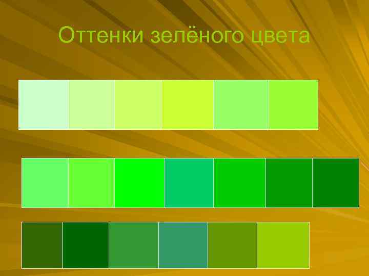 Оттенки зелёного цвета 