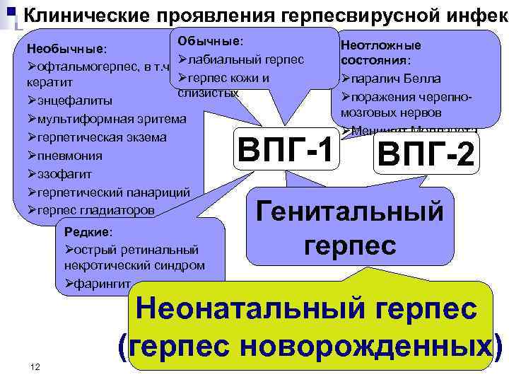 Клинические проявления герпесвирусной инфекц Обычные: Неотложные Необычные: Øлабиальный герпес состояния: Øофтальмогерпес, в т. ч.