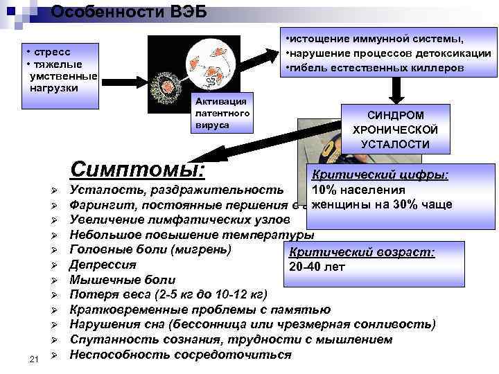 Особенности ВЭБ • истощение иммунной системы, • нарушение процессов детоксикации • гибель естественных киллеров