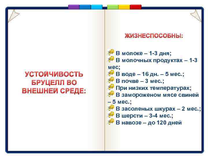 ЖИЗНЕСПОСОБНЫ: УСТОЙЧИВОСТЬ БРУЦЕЛЛ ВО ВНЕШНЕЙ СРЕДЕ: В молоке – 1 -3 дня; В молочных