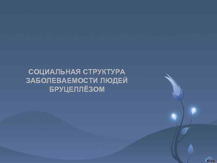 СОЦИАЛЬНАЯ СТРУКТУРА ЗАБОЛЕВАЕМОСТИ ЛЮДЕЙ БРУЦЕЛЛЁЗОМ 
