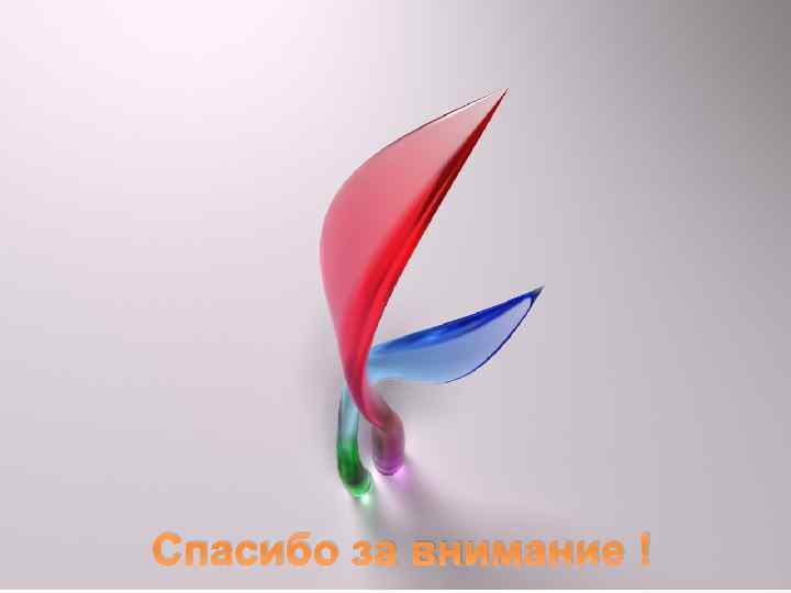 Спасибо за внимание ! 