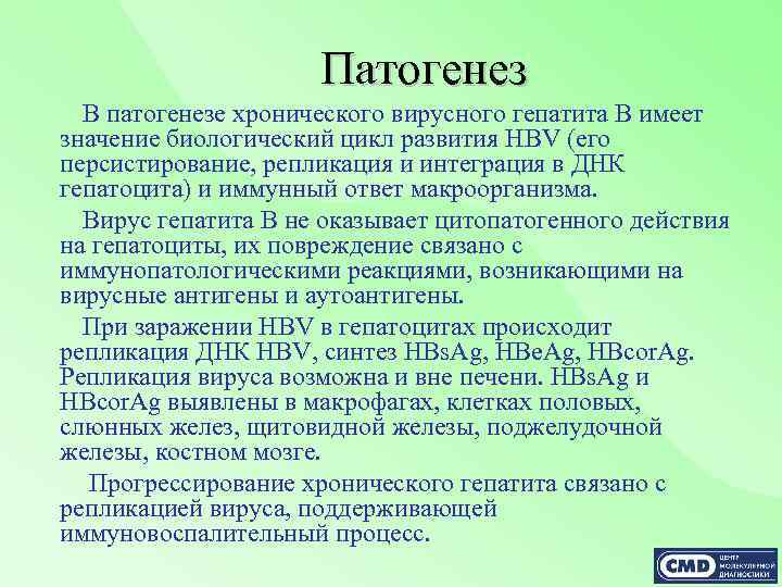 Патогенез В патогенезе хронического вирусного гепатита В имеет значение биологический цикл развития HBV (его