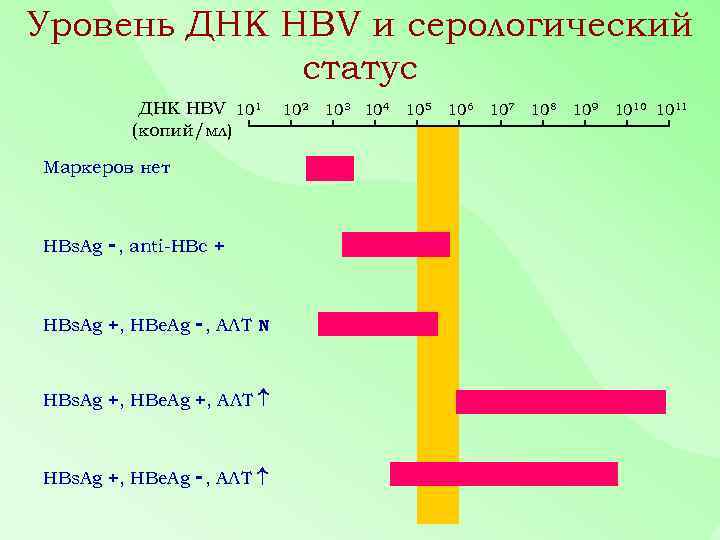 Днк 14.12 23