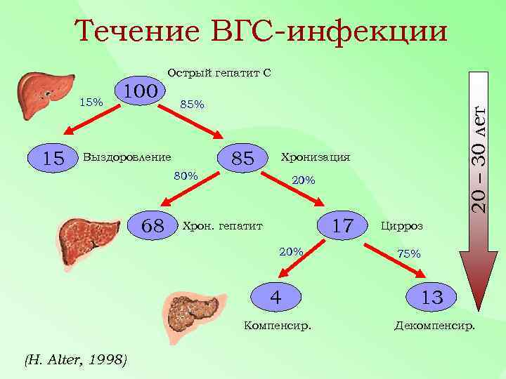 Течение ВГС-инфекции Острый гепатит С 15 100 85% 85 Выздоровление Хронизация 80% 68 20%