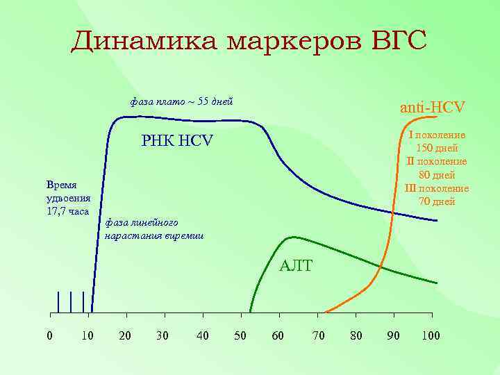 Динамика маркеров ВГС фаза плато ~ 55 дней anti-HCV I поколение 150 дней II