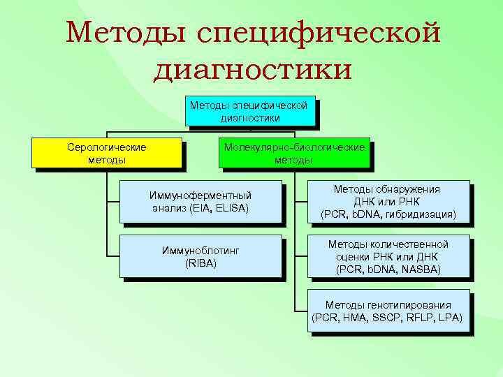 Методы специфической диагностики Серологические методы Молекулярно-биологические методы Иммуноферментный анализ (EIA, ELISA) Методы обнаружения ДНК