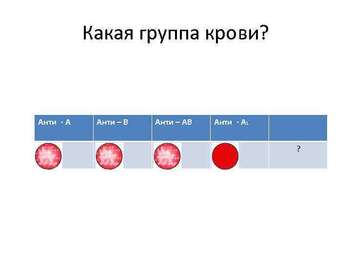 Распространенная группа крови в россии. Группа крови. Какая группа крови. Кровь группы крови. Распространенная группа крови.