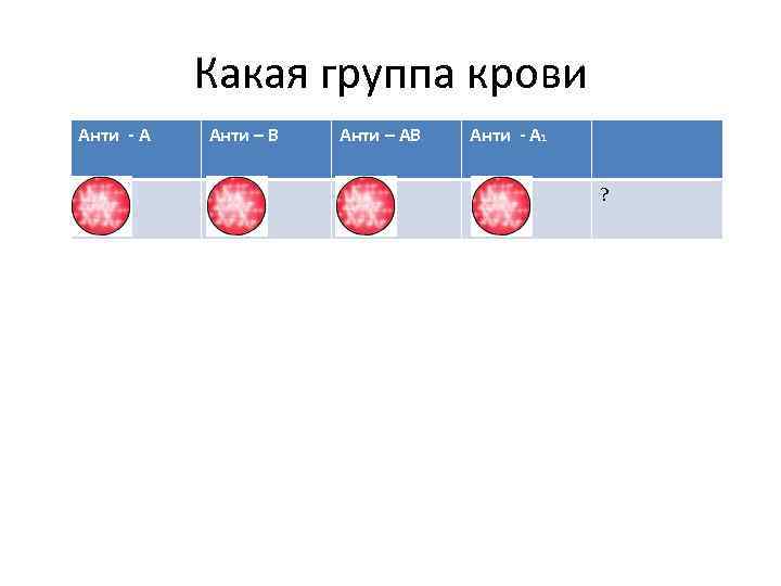 Какая группа крови Анти - А Анти – В Анти – АВ Анти -