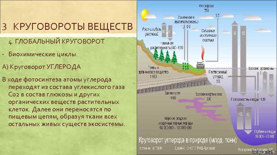 3 КРУГОВОРОТЫ ВЕЩЕСТВ 4. ГЛОБАЛЬНЫЙ КРУГОВОРОТ - Биохимические циклы А) Круговорот УГЛЕРОДА В ходе