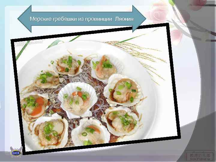 Морские гребешки из провинции Ляонин 