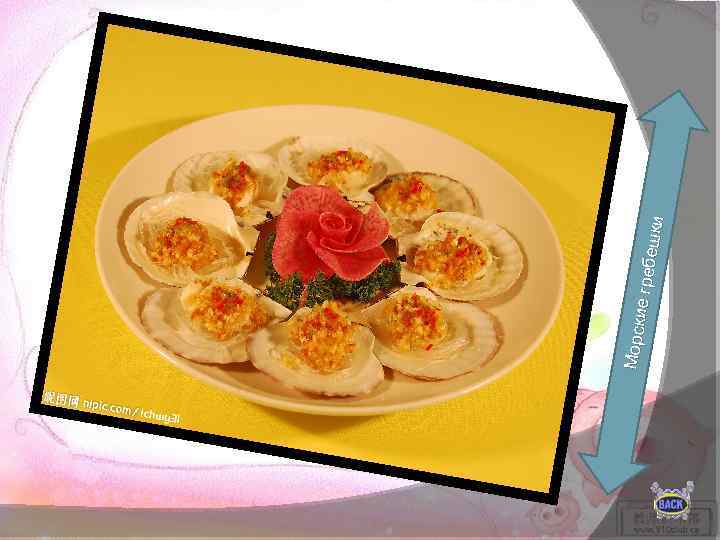 Морск ие греб ешки 